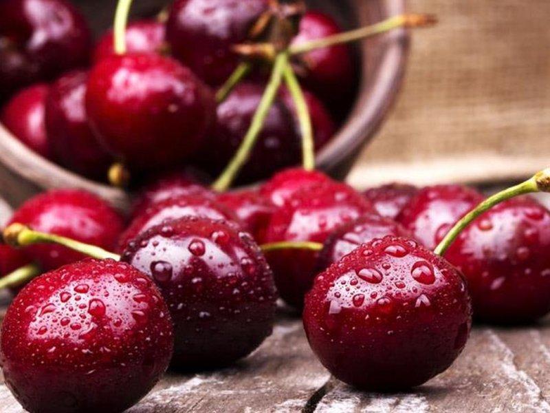 Вишня купить саженцы из питомника в Вольске